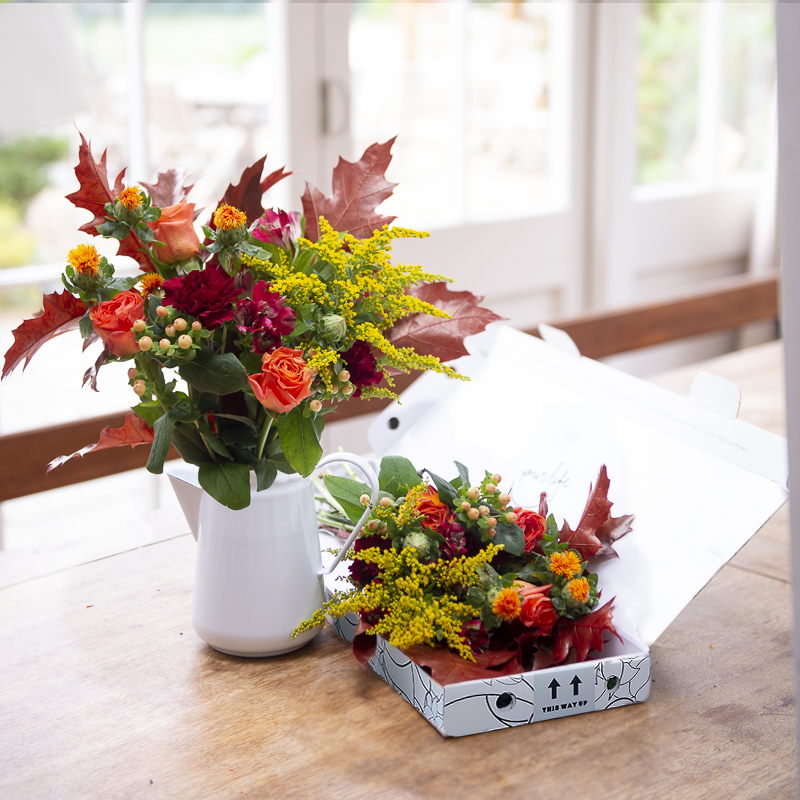 Letterbox Firelight | Letterbox Bouquets | Next Day Flower Delivery UK - Blossoming Gifts