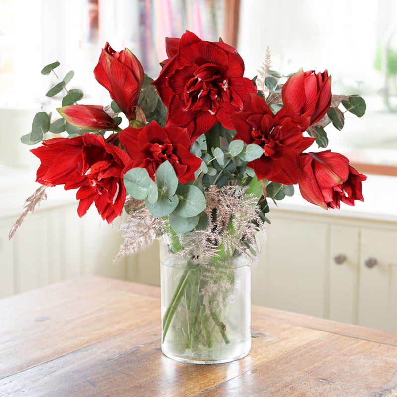 Deck the Halls image