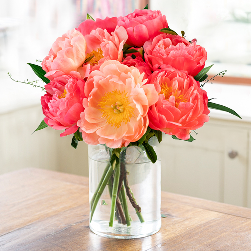 Coral Peony Bouquet | Peonies Delivered | Flower Delivery UK | Summer Flowers - Blossoming Gifts