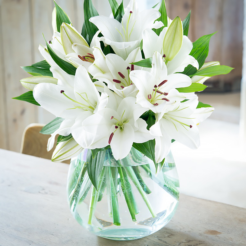 Casablanca Lily Bouquet | White Oriental Lilies | White Flower Bouquet - Flower Delivery UK - Blossoming Gifts
