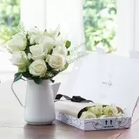 Letterbox 12 White Roses