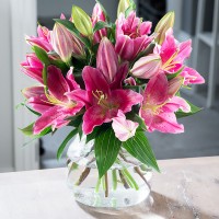 Stargazer Lily Bouquet Stargazer Lily Bouquet