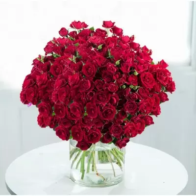 100 Valentine's Red Roses