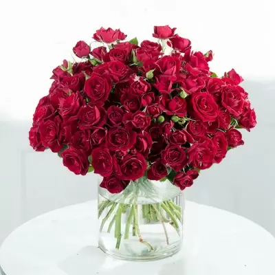 50 Valentine's Red Roses