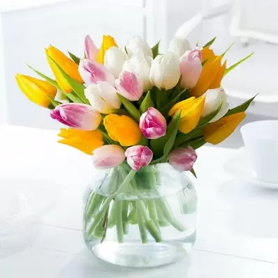 25 Springtime Tulips  (40% Extra Tulips Free)