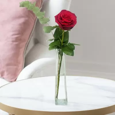 Beautiful Single Red Rose in a Bud Vase 