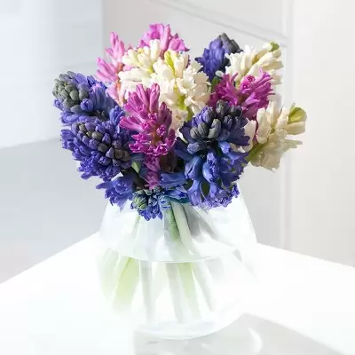 Scented Hyacinths
