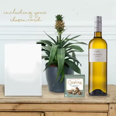 Pineapple Plant, La Source Blanc, Guylian Chocolates & Gift Card