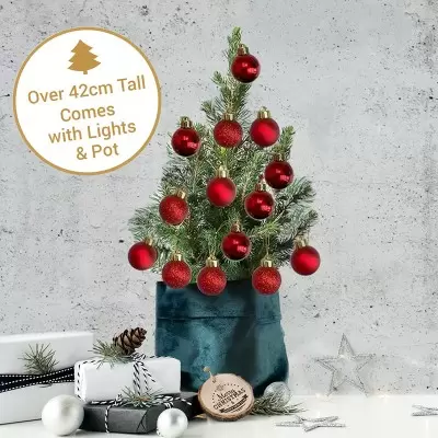 Tiny Christmas Tree with 14 Christmas Red Baubles