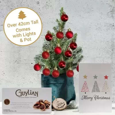 Little Tree with Christmas Red Baubles & 250g Chocolates & Card