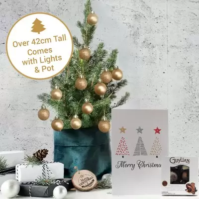 Little Tree with Champagne Baubles & 65g Chocolates & Card