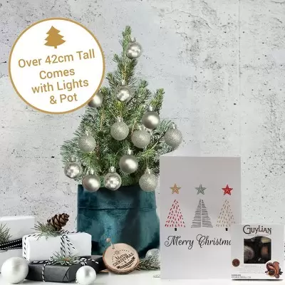 Little Tree with Silver Baubles & 65g Chocolates & Card