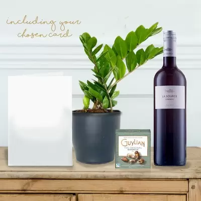 ZZ Plant, La Source Red Wine, Guylian Chocolates & Gift Card