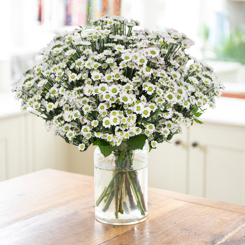 Daisy Bouquet | Flowers Under £20 | Next Day Flower Delivery UK - Blossoming Gifts
