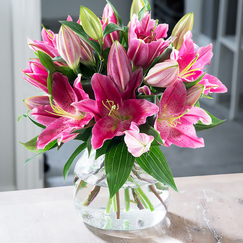 Stargazer Lily Bouquet | Pink Oriental Lilies | Pink Flower Bouquet | Flower Delivery UK - Blossoming Gifts