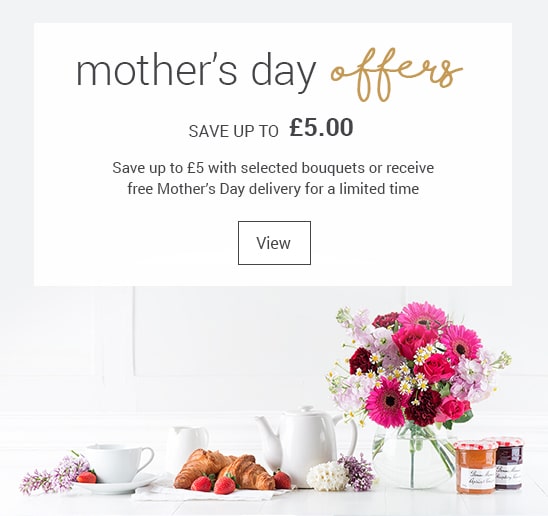 Flowers Delivered Flower Delivery Blossoming Gifts